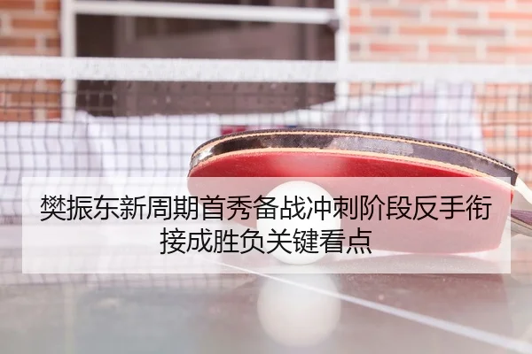 樊振东新周期首秀备战冲刺阶段反手衔接成胜负关键看点